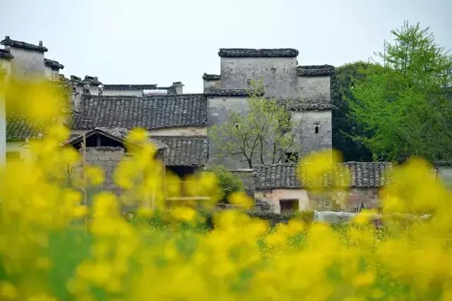 梦里徽州儿歌,梦里徽州音乐