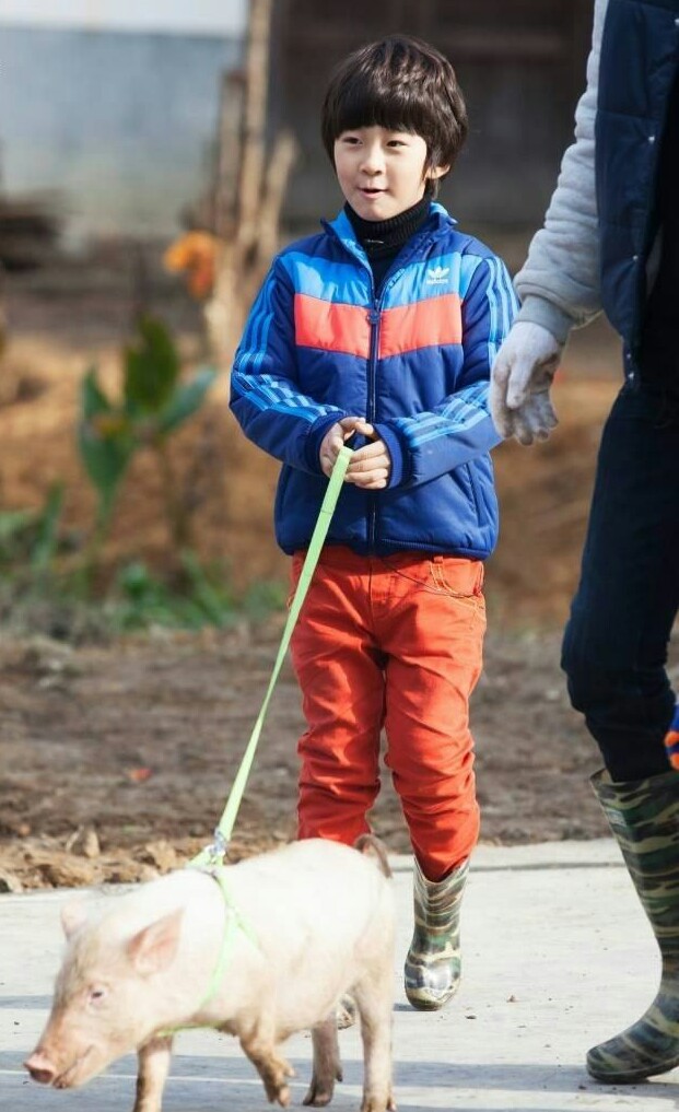 天天和森碟超甜,青梅竹马张亮天天森碟