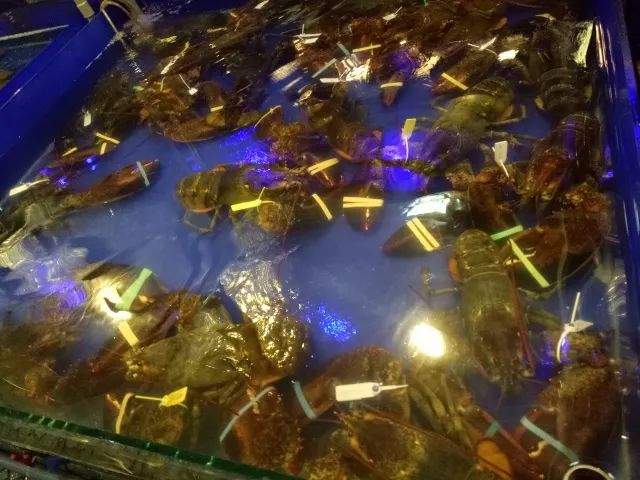 越南岘港的全身护理,越南岘港自由行旅游攻略