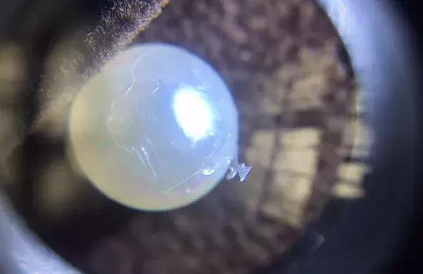 真正的珍珠耳环不变色,珍珠佩戴后变得更有光泽了