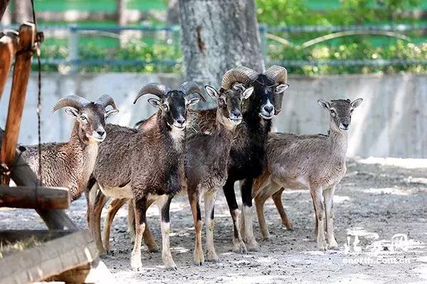 休渔期渤海,2023伏季休渔期规定