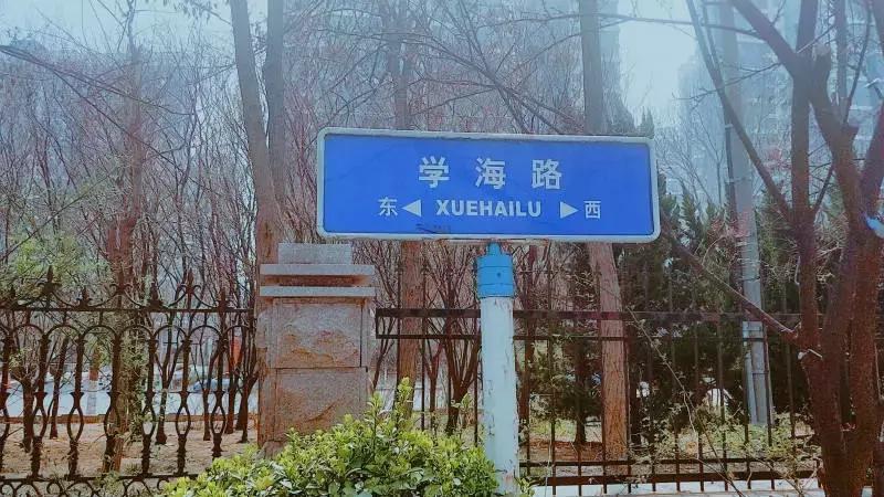 陪你走过沿途的风景,陪你走过每段路