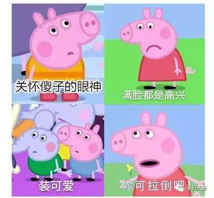 生活圈被它攻占，明星主动“蹭”它热度，现在的流量担当是这只猪