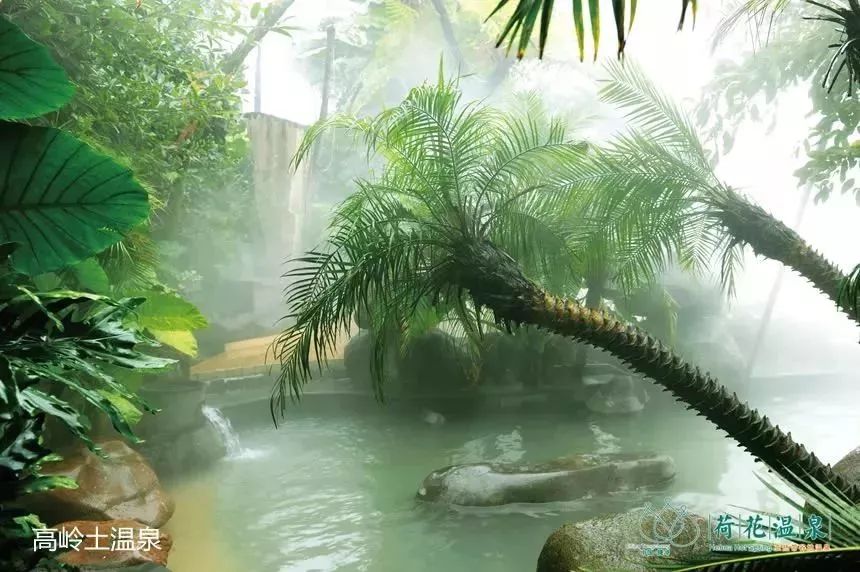 五一优惠等你来,五一钜惠疯狂来袭