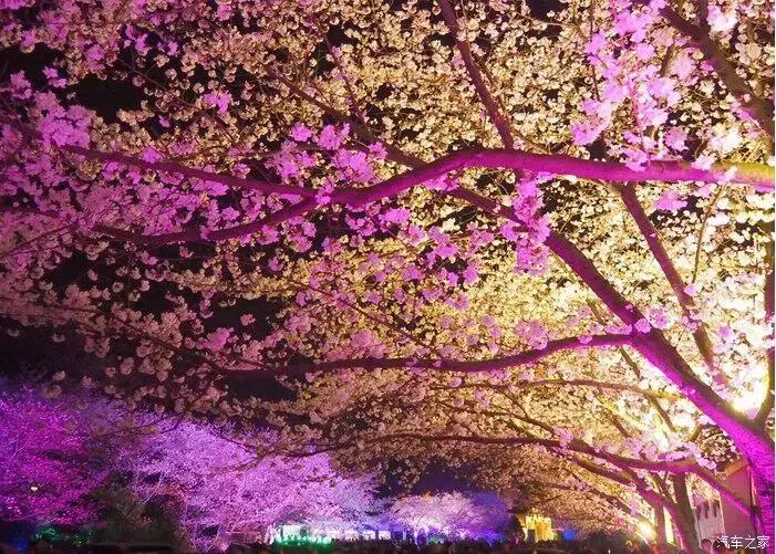 东南dx3自驾游,江浙寻花事