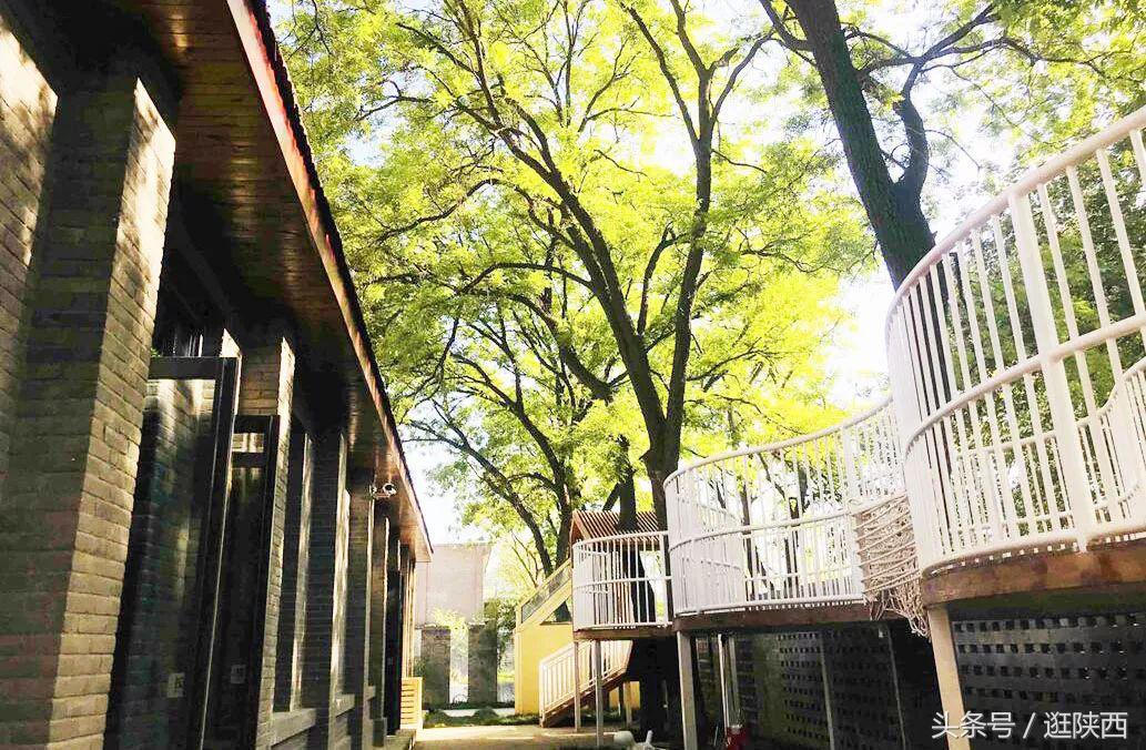 纺织城的公办幼儿园,纺织城最好的幼儿园