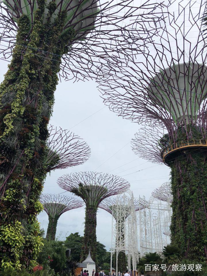 驴妈妈泰国旅游线路,驴妈妈旅游网旅行体验