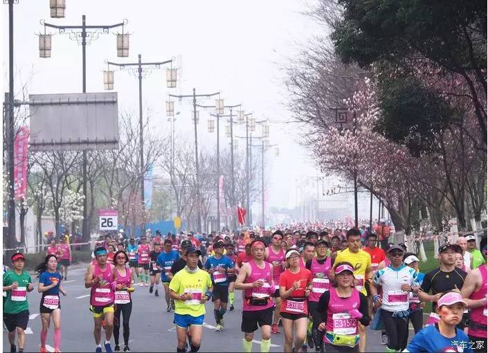 东南dx3自驾游,江浙寻花事