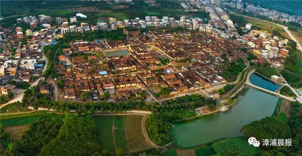 漳浦县牛,凭什么你那么牛原版