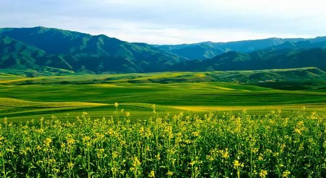 五一小长假北疆旅行,五一游玩的小短文50字