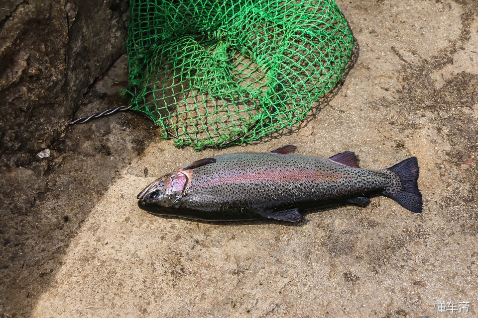 400km续航能满足日常使用么,400km秦plusev实际续航