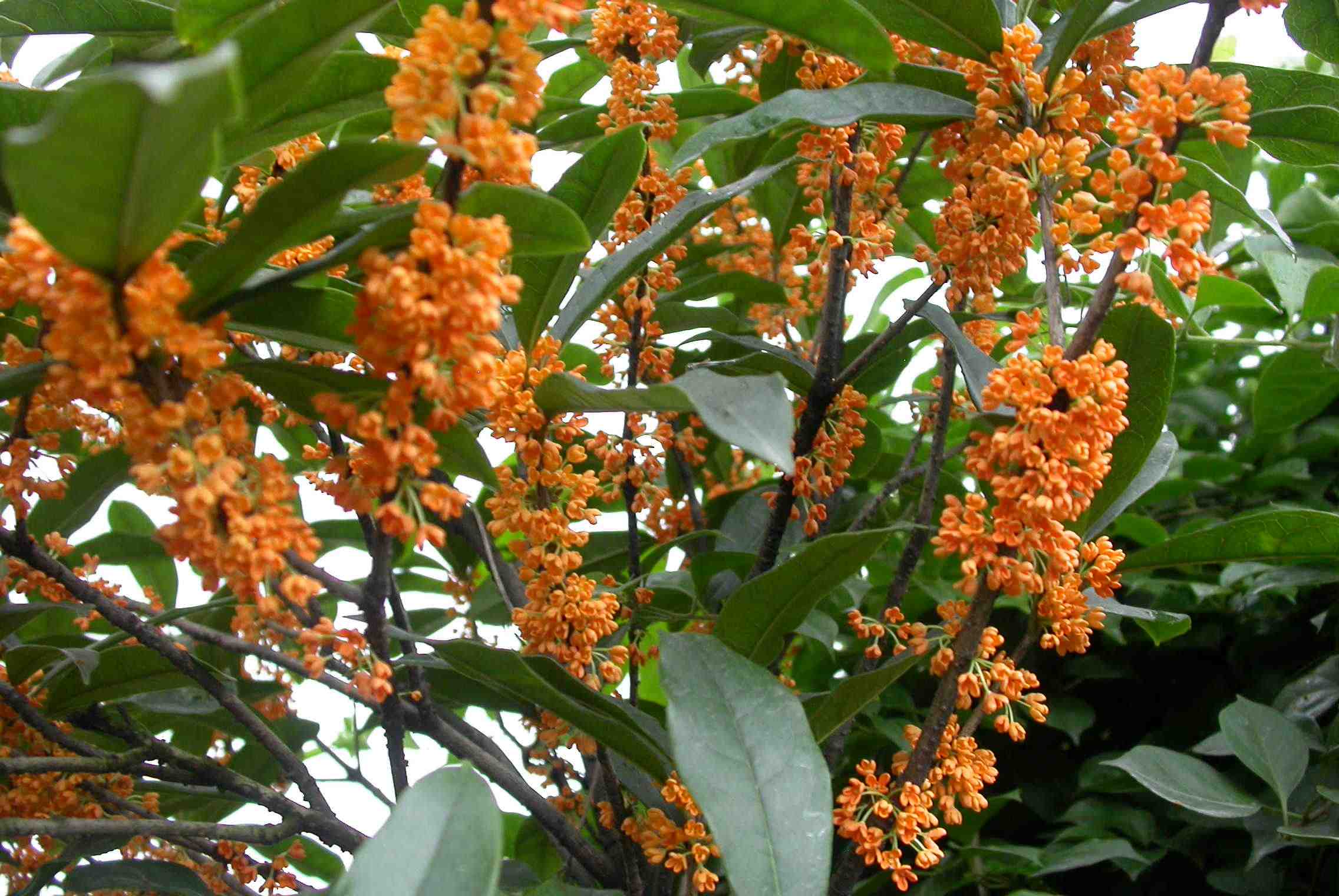 美丽淳安和遇见淳安,美丽淳安