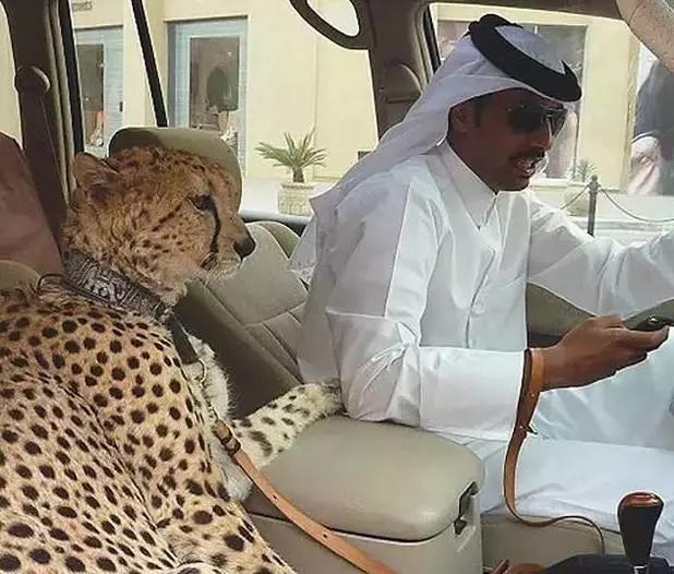 迪拜贫穷人的生活,迪拜贫穷限制了我的想象