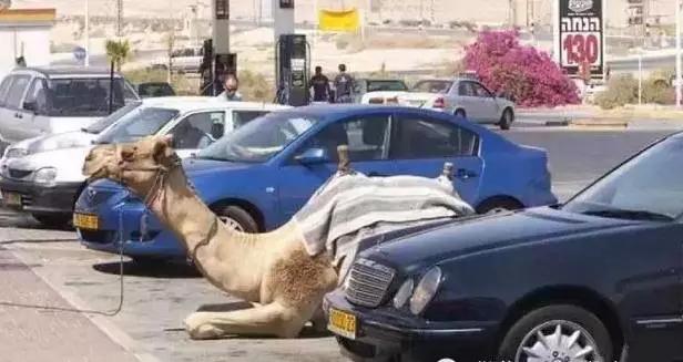 迪拜贫穷人的生活,迪拜贫穷限制了我的想象