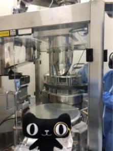 穿越澳洲小说,穿越澳大利亚视频