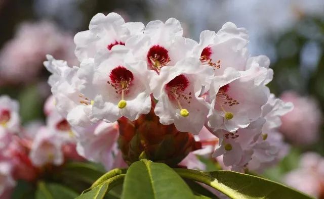 西安周边城市绝美景色旅游地点,西安出发五一4天自驾游路线推荐