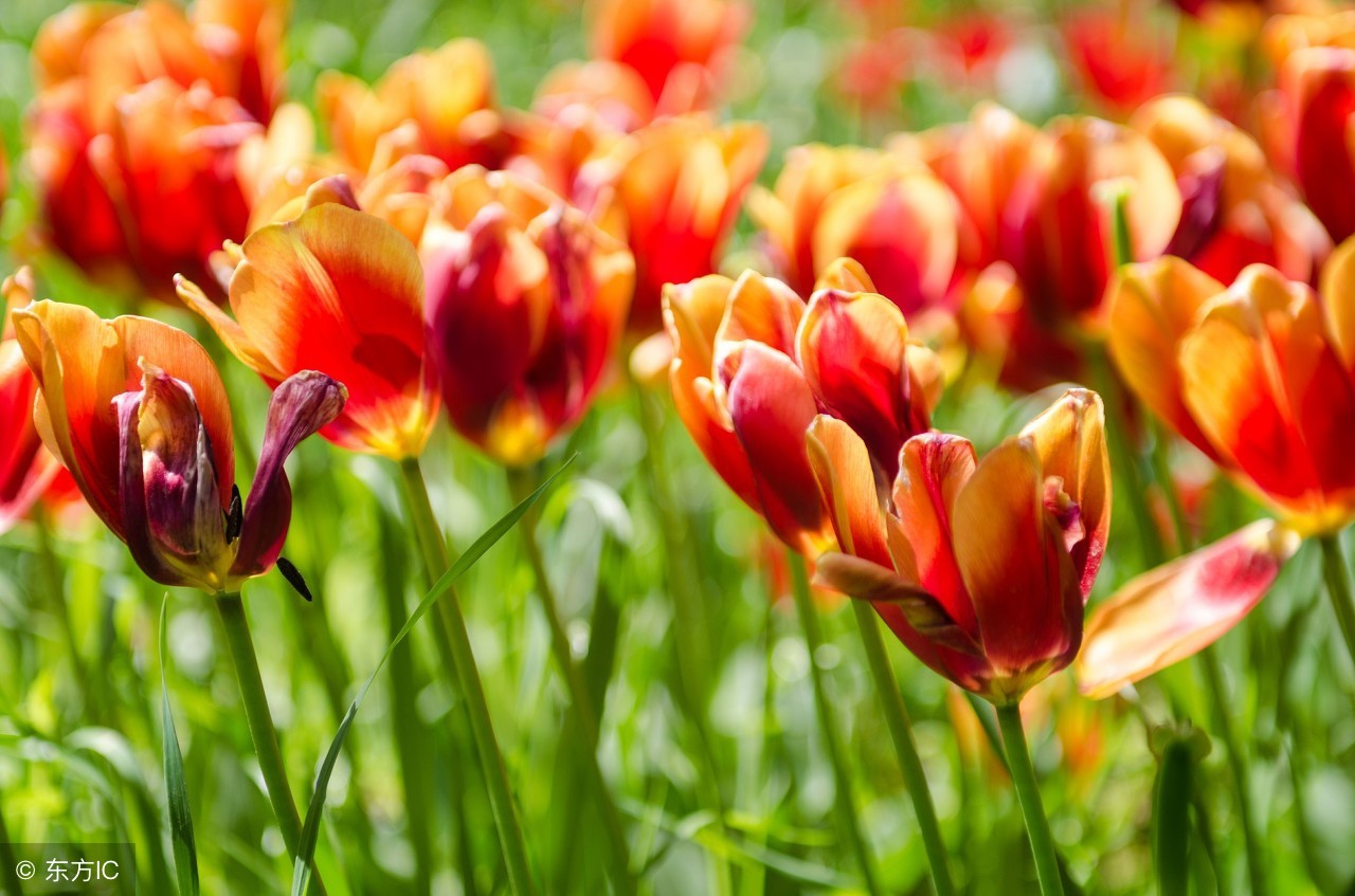 生活语录相册,生活感悟相册