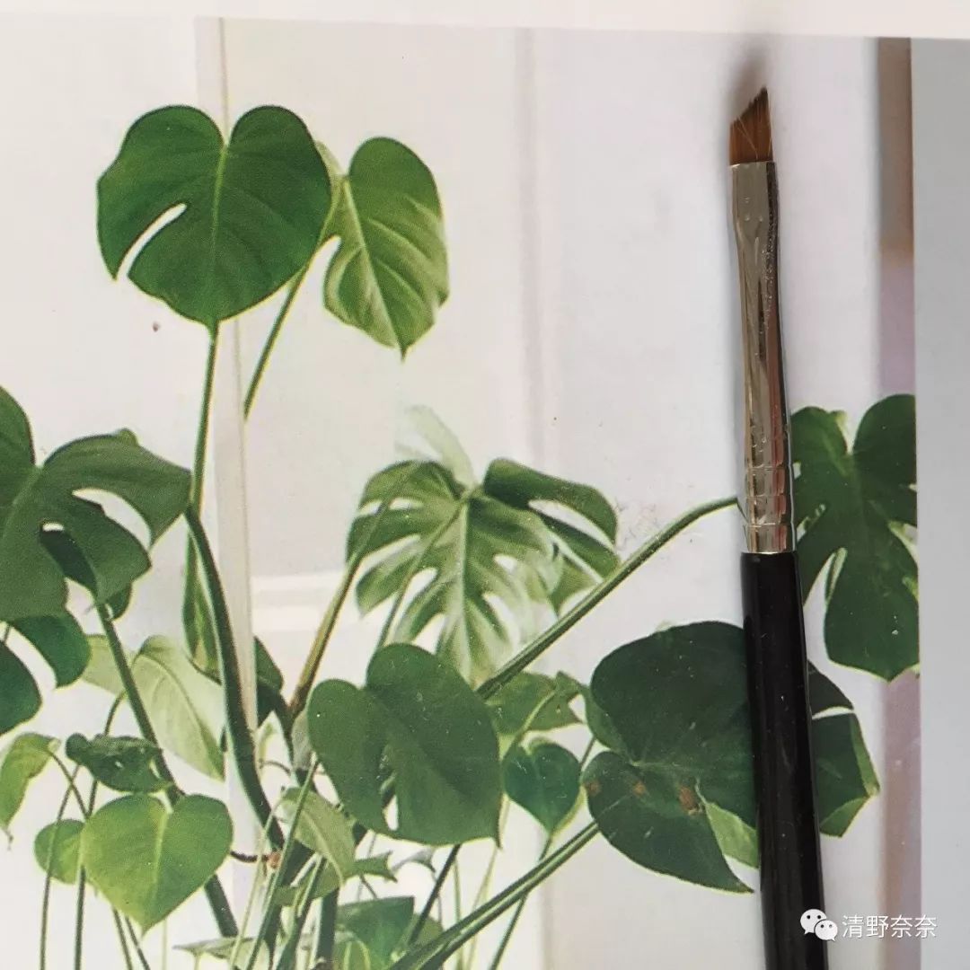 新手值得推荐的平价彩妆产品,平价彩妆必买清单推荐