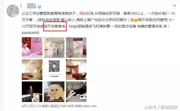 18岁姑娘多次捐卵致生命垂危,女学生捐卵新闻