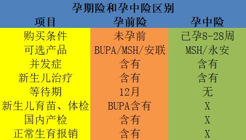 赴美生子高端医疗保险——备孕和孕中险