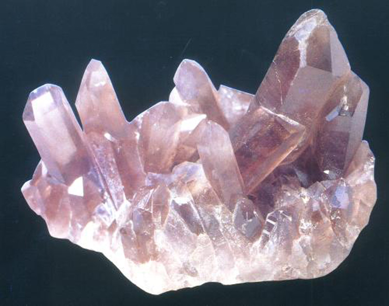 白猿可以活多少年,白猿多大