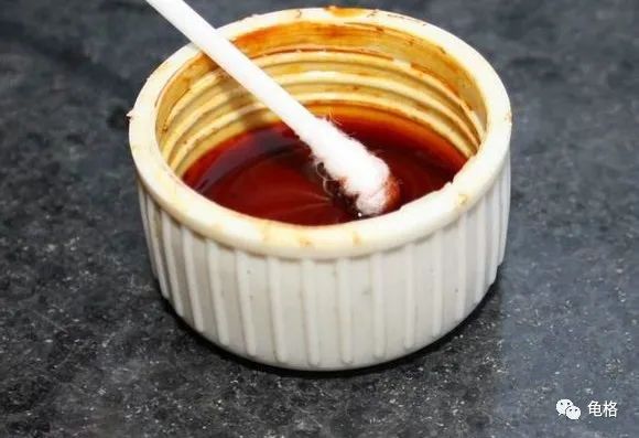 聚维酮碘溶液给乌龟治腐甲怎么用,聚维酮碘乌龟腐皮腐甲使用方法