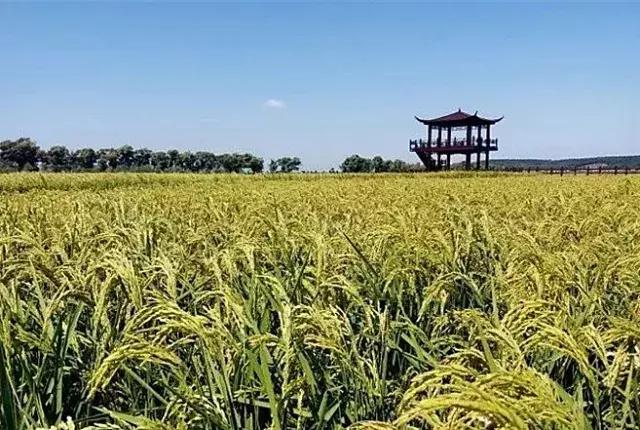 黑龙江游玩必去景点推荐,黑龙江旅游攻略必玩的景点