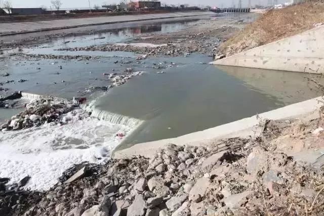 呼叫西罗园！呼叫西罗园！