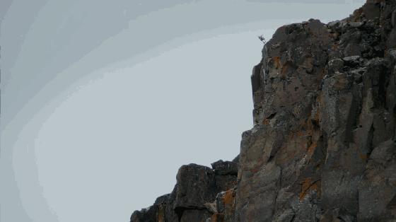 假期一定要给孩子看的20部纪录片,12部适合和孩子一起看的纪录片