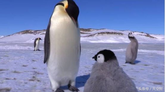 假期一定要给孩子看的20部纪录片,12部适合和孩子一起看的纪录片