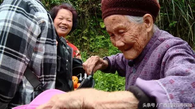 烤金桔止咳做法大全图片,金桔怎么烤着吃治咳嗽