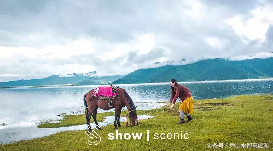 适合宅家一日游,适合宅在家旅游的景点