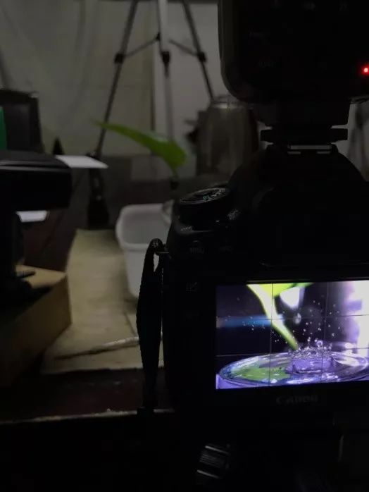 失败N次之后，我的水滴皇冠成功了，你也可以试试