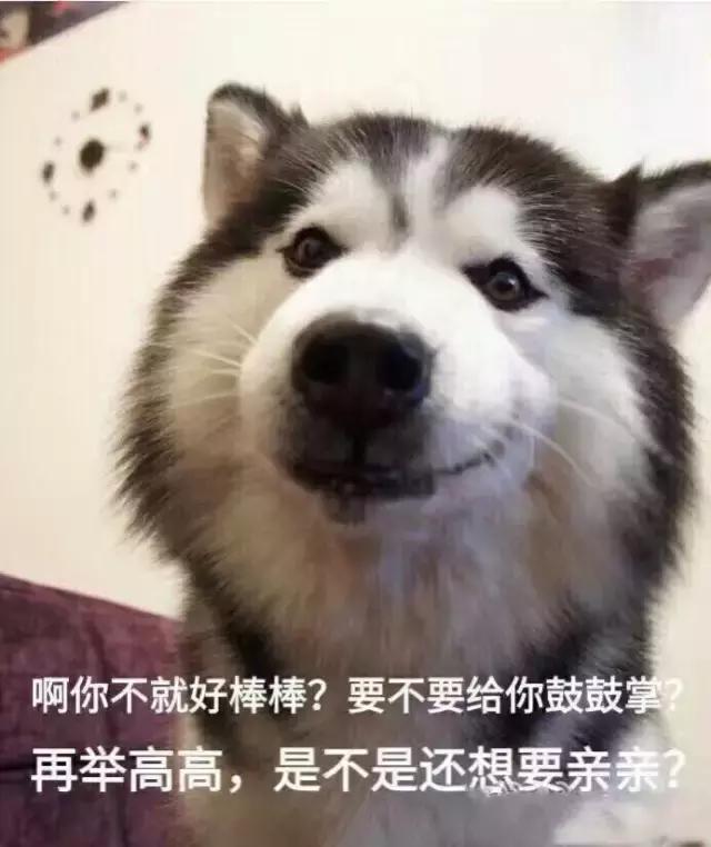 水乳哪一款好用又平价,水乳推荐夏季混油皮平价百元以内