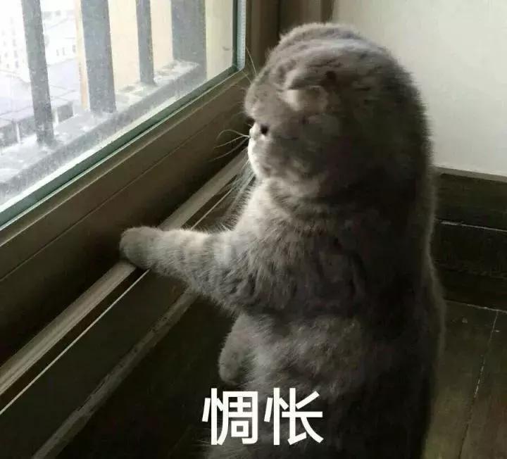 楼市爆雷最新消息,楼市突然响春雷