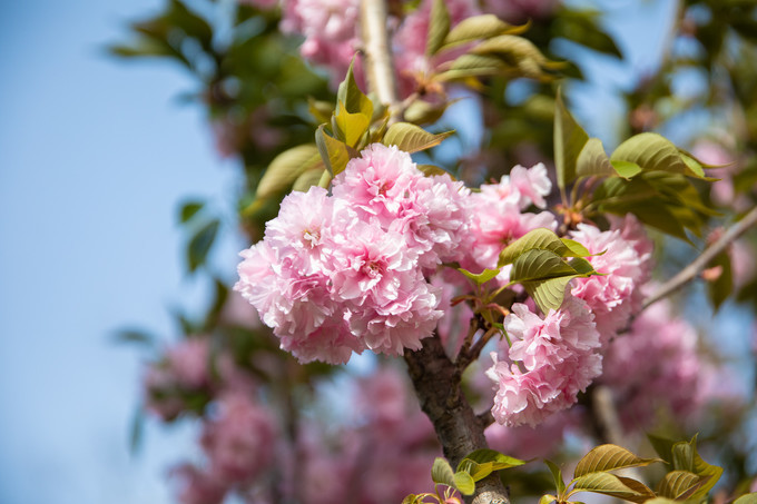 花博园滁州风景,滁州花博园公园美景