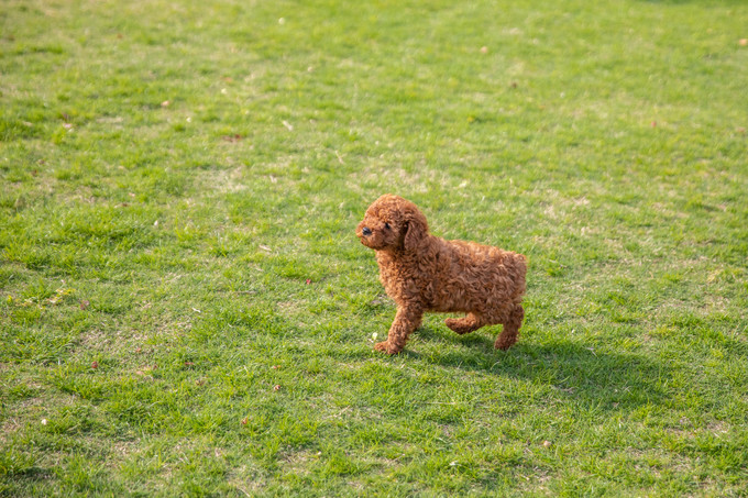 滁州花博园秋景,秋天滁州花博园图片