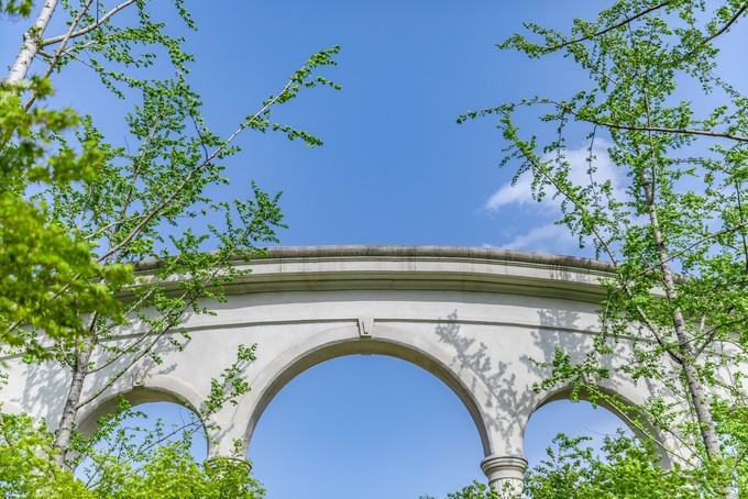 滁州花博园秋景,秋天滁州花博园图片