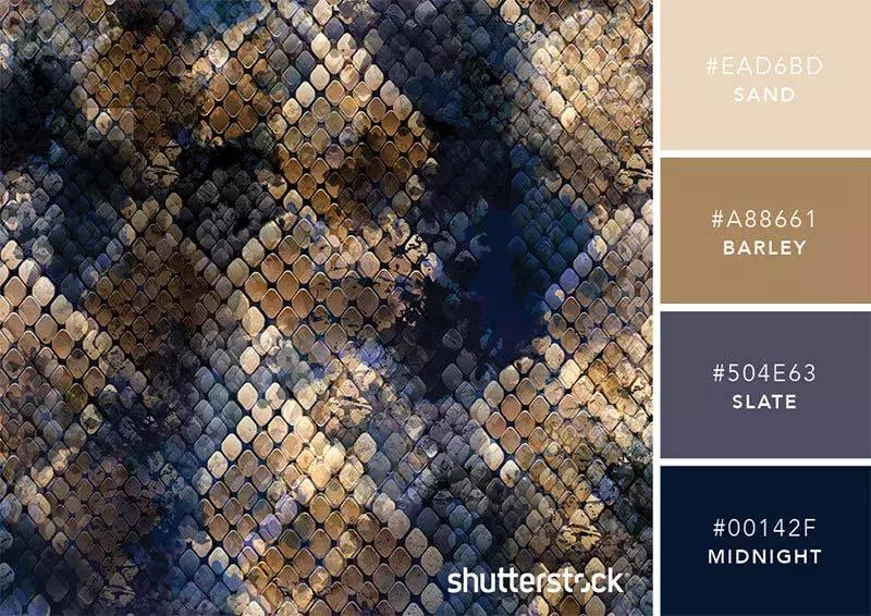 你知道彩虹是什么颜色吗,你知道彩虹的颜色吗英语翻译