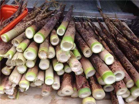 桂竹笋怎么处理不会涩,笋尖青笋鲜竹笋的处理方法