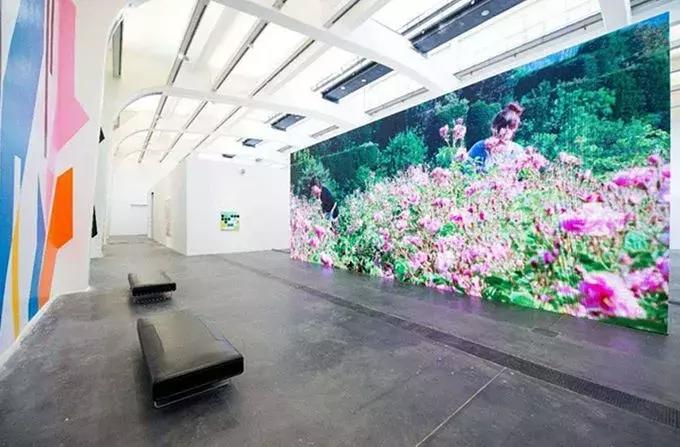 北京很忙！5月超多展览、话剧、演唱会！还免费？