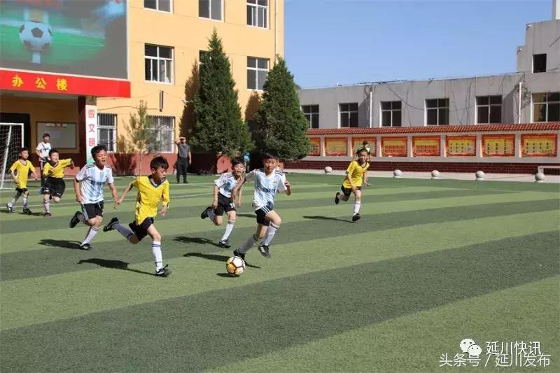 绿茵少年足球联赛,绿茵场上的足球少年