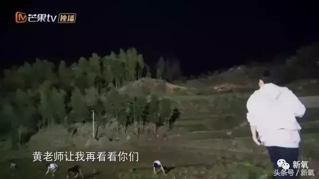 吐槽张杰土味视频,张杰吐槽土味视频