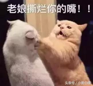 真假塑料姐妹花,塑料姐妹花和闺蜜哪个好