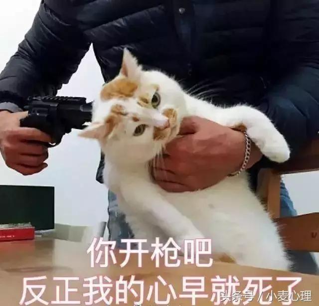 真假塑料姐妹花,塑料姐妹花和闺蜜哪个好