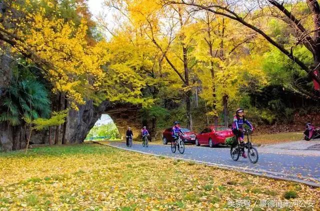 河南警官证免费景区,河北省哪些景区使用警官证免费