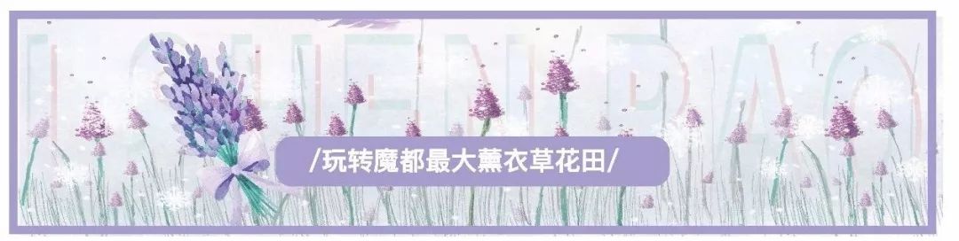 黄圣依节目中狂炫富,霍思燕黄圣依最新视频