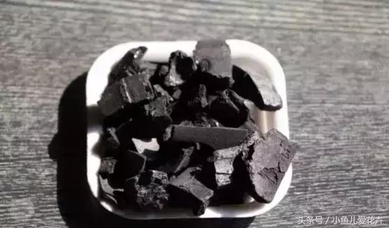 新手养肉肉最好用什么土,新手养肉配土