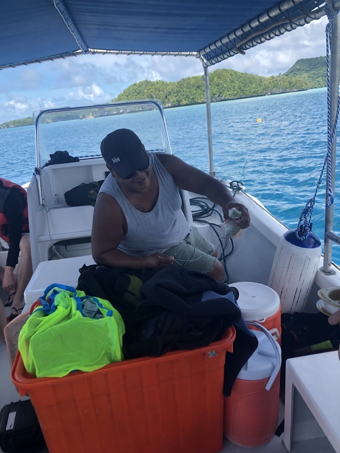 帕劳的海景风光给人美的享受,帕劳的海洋和沙滩风景图片