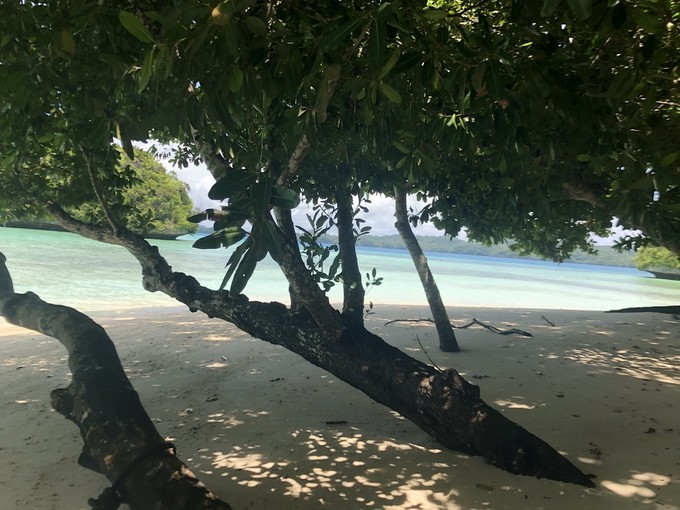 帕劳的海景风光给人美的享受,帕劳的海洋和沙滩风景图片